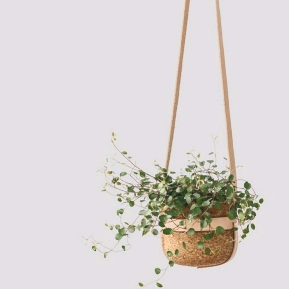 Meet your Posher, Suzanne - Picture 1 of 1